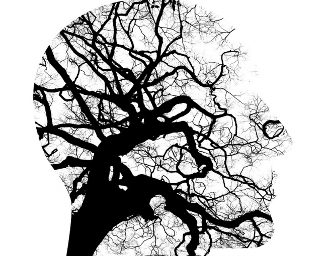 mental illness and legal aspects from estate planning attorney