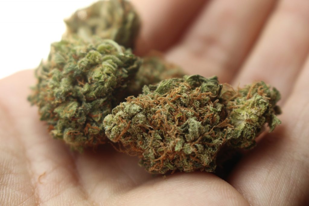 Image of weed 2517251 1280 1024x682 Image of medical marijuana legalization hemp CBD oil Alzheimers on estate management asset protection law site